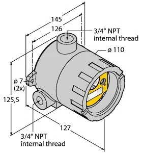 Turck Système radio DX99N2X1S2N0T4X0D0