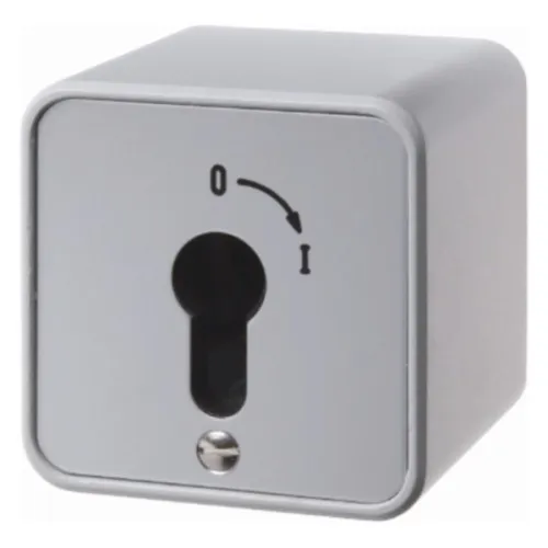 Hager Interrupteur à clé WDE4466