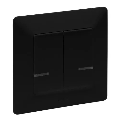 Legrand Interrupteur série Legrand 756388, 2x 250W