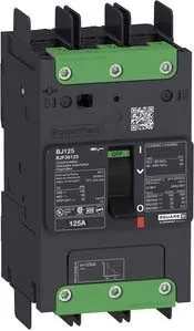 Schneider Electric Disjoncteur Multistandard PowerPact BGF36015