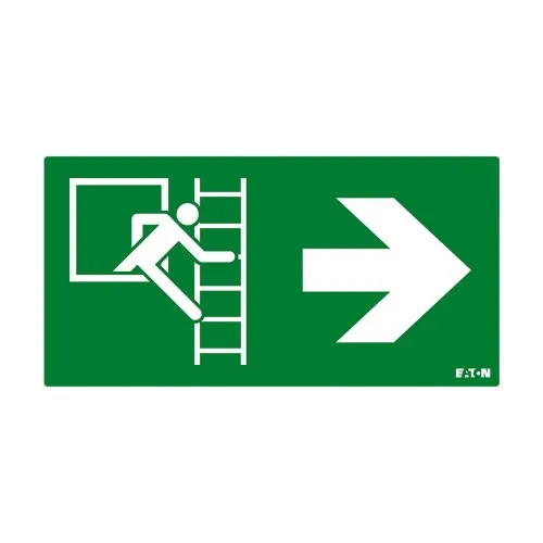 Ceag Notlichtsysteme Piktogramm FT2EWEC-PICTO-EWR
