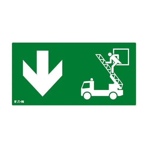 Ceag Notlichtsysteme Piktogramm FT2EWEC-PICTO-RWD