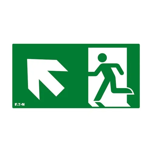 Ceag Notlichtsysteme Piktogramm FT3EWEC-PICTO-UL