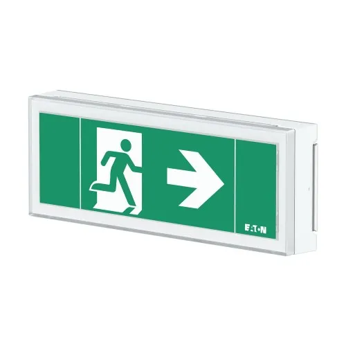 Ceag Notlichtsysteme LED-Rettungszeichenleuchte FT1EW4ICGSIP