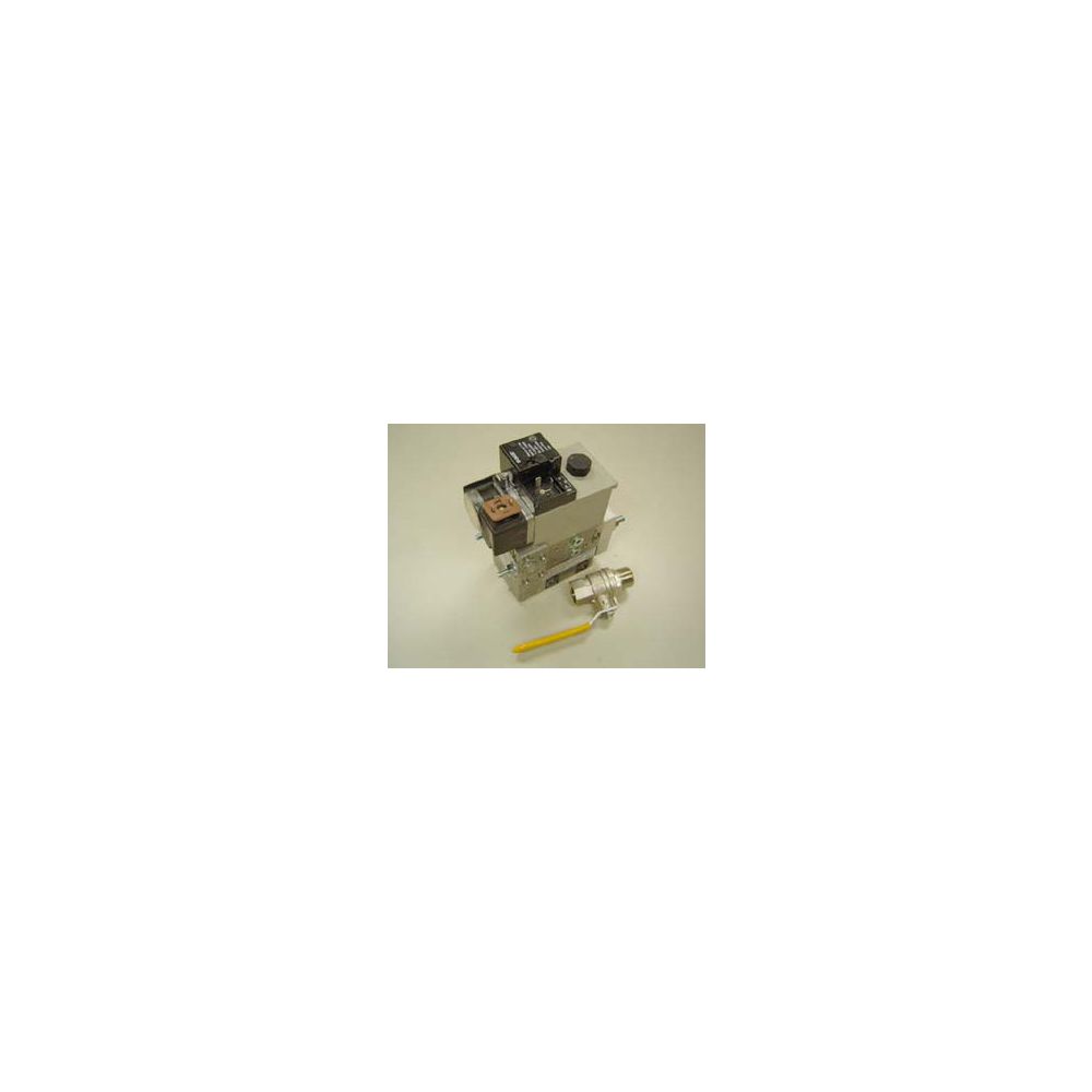 Vanne gaz Remeha MB-DLE 407 B01 S20