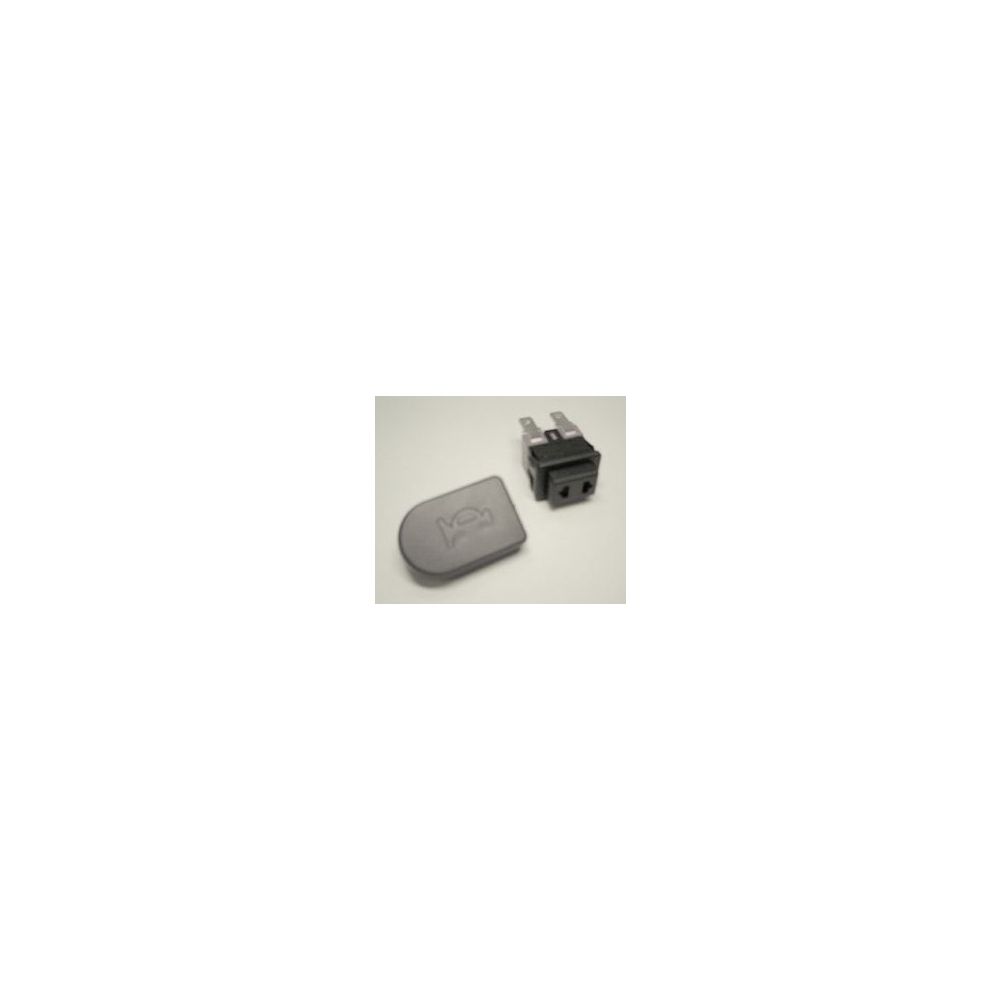 Bouton de réinitialisation Remeha pour Domoplus 3, 0295159
