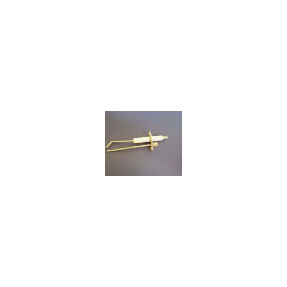 Remeha Électrode d'allumage et d'ionisation, S58778