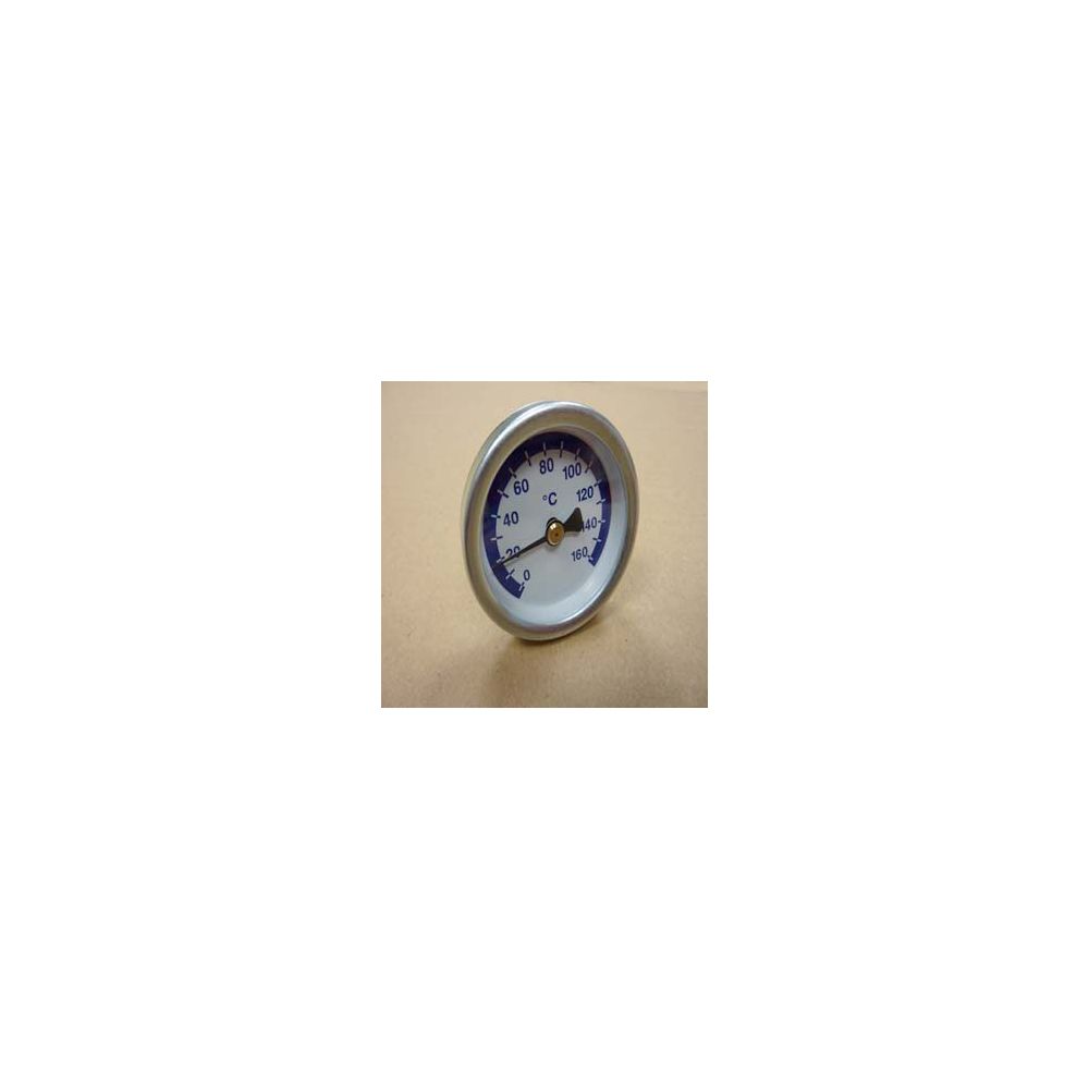 Thermomètre Remeha, Bleu, 300027938