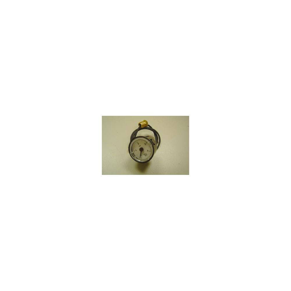 Manomètre Remeha, pour Domolight, 7797973