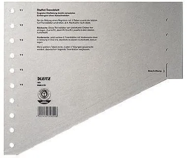 Feuilles de séparation Leitz 16510085 A4 200 g carton gris, 100 feuilles/paquet