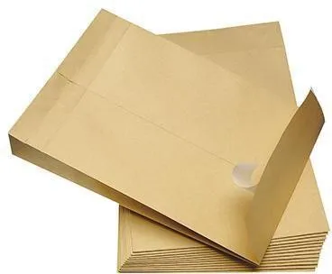 Poche pliante Soennecken 2941 C4 130 g avec fenêtre adhésif repositionnable 20 faces marron 100 pièces/boîte.