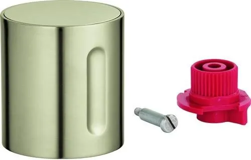 Poignée d'arrêt GROHE 47898 nickel brossé