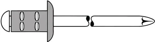 GESIPA Rivet aveugle PolyGrip® Tige d x l 4,8 x 10 mm - 1433850