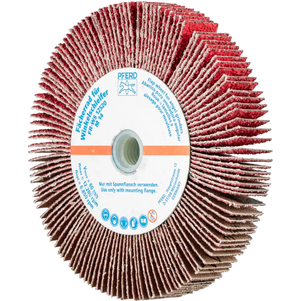 PFERD TOOLS Meule lamellaire pour meuleuse d'angle FR WS M14 pour acier inoxydable