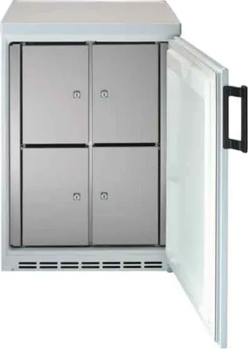 Armoire frigorifique collective Eisfink MP182-4 F-U re