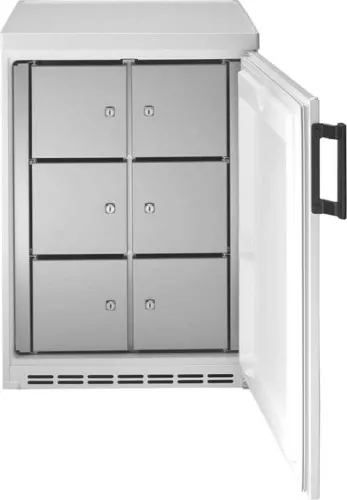 Armoire frigorifique collective Eisfink MP182-6F-U re