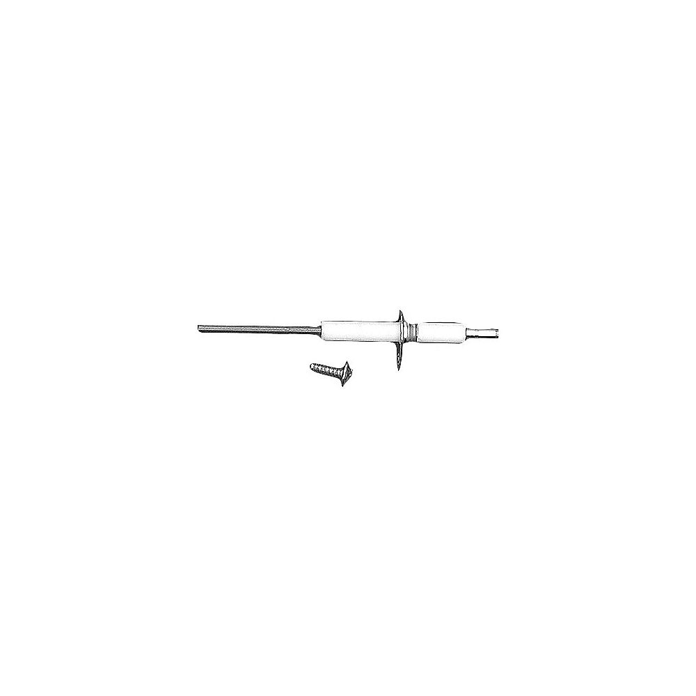 Bosch Électrode d'ionisation, 87290107010