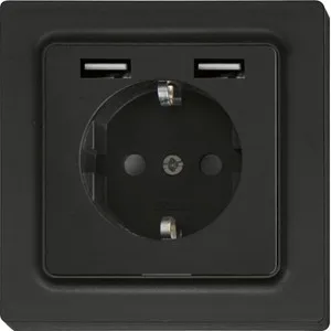 Prise de courant à contact de protection Eltako DSS55E+2xUSBA-am
