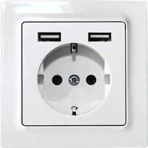 Prise de courant allemande Eltako DSS55E+2xUSBA-pm
