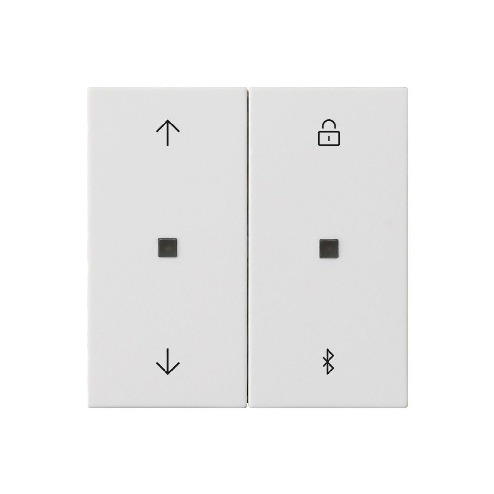 Gira Minuterie et commande de stores Bluetooth System 3000, System 55, Blanc pur, 536727