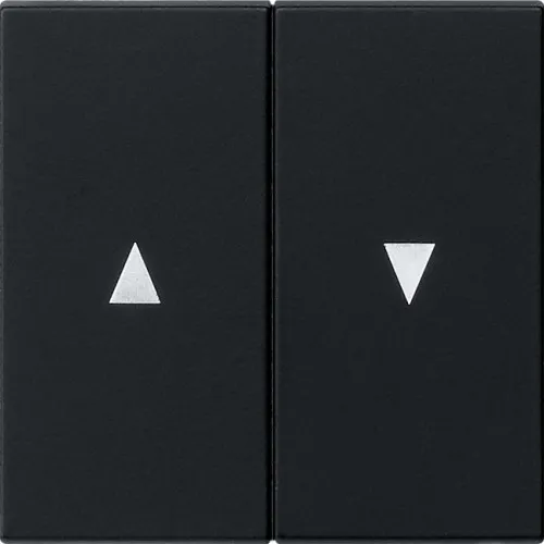Gira Wippe 2f. sw 0294005