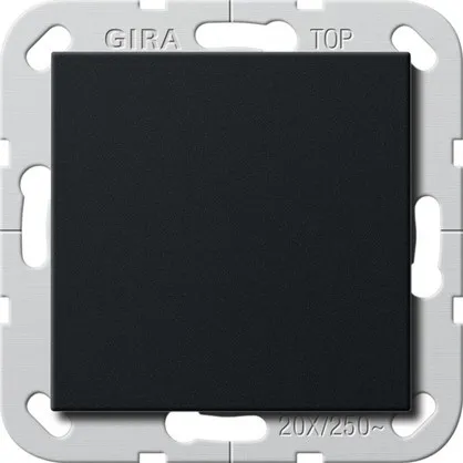 Gira Wippschalter 2836005