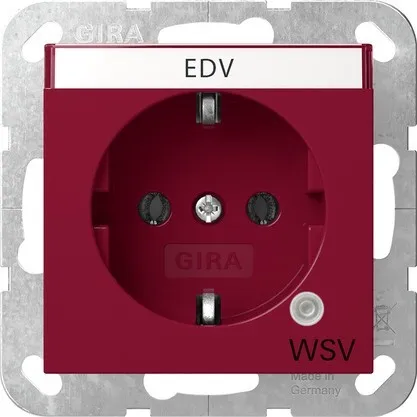 Gira prise avec témoin lumineux GN+BSF 4452108