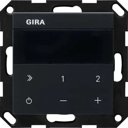 Gira UP-Radio IP 2320005