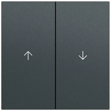 Gira Wippe 2f flèche Système 70 329473