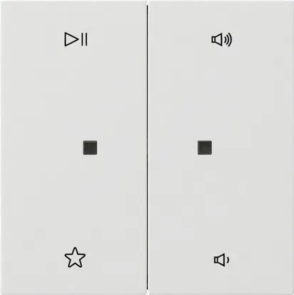 Gira Wippe 2f Audiostrg 5384112