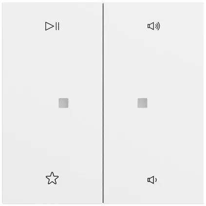 Gira Wippe 2f Audiostrg System 538472