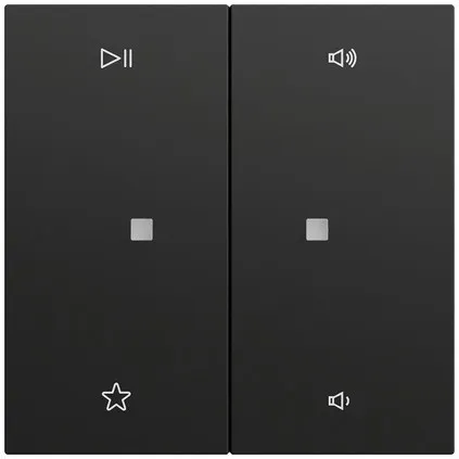 Gira Wippe 2f Audiostrg System 538474