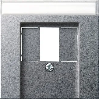 Plaque centrale Gira TAE alu 087626