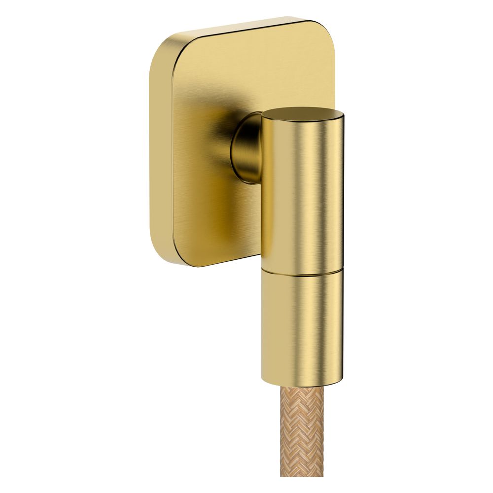 Hansgrohe AXOR Citterio E tige de douche 90 cm, flexible de douche 160 cm, finition Brushed Gold Optic