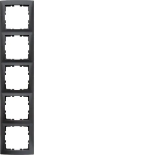 Berker Cadre 5 places anthracite mat 10159949
