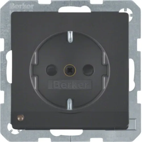 Berker prise SCHUKO anth/sa 41096086