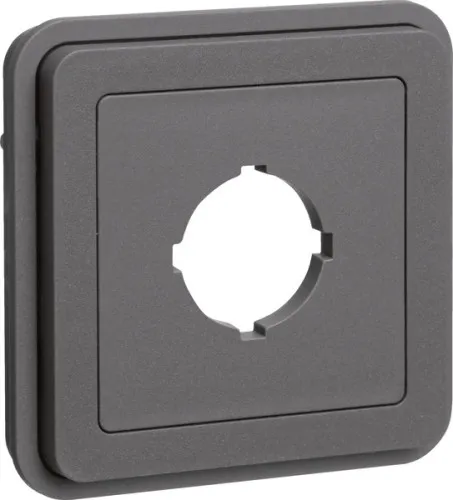 Berker Insert avec ouverture pour prise 42913505