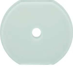 Plaque centrale en verre Berker 109509