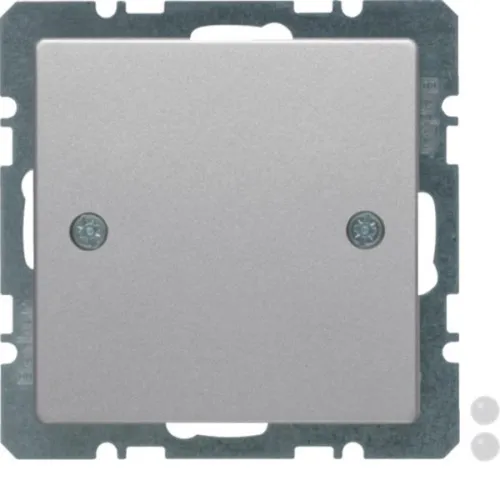 Berker Cache-prise aluminium/laqué 10096074