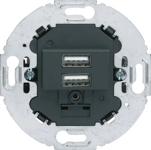 Prise de courant USB Berker 230V 260215