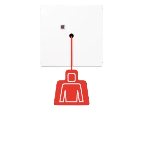 Jung Bouton-poussoir à tirette sans cadre aws NRS LS 0834 ZT WW