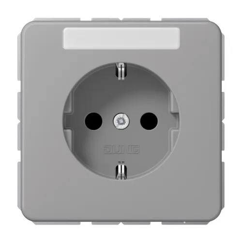 Prise de courant Schuko 16A 250V Jung CD 1520 NA GR avec plaque signalétique