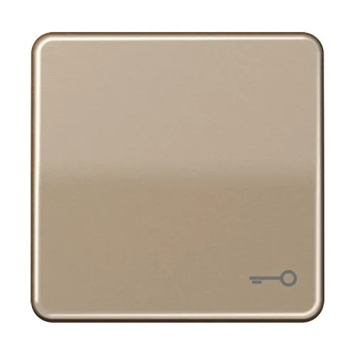 Jung Bascule Symbole PORTE or bronze CD 590 T GB