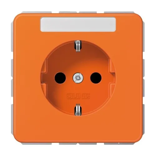 Jung Prise SCHUKO 16A 250V CD 1520 BFNA O