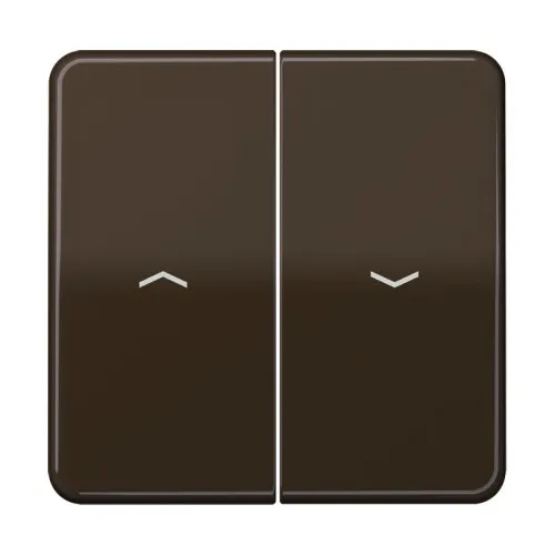 Bascule Jung CD 595 P BR avec symboles
