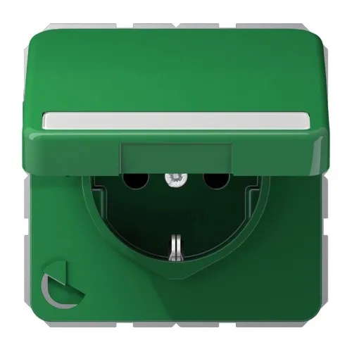 Prise SCHUKO Jung 16A 250V CD 1520 BFNAKL GN