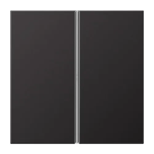 Jeu de touches Jung 2 touches AL 2402 TSA D