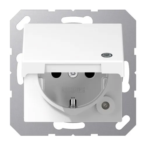 Jung Prise SCHUKO 16 A 250V A 1520 BFKLKO WW