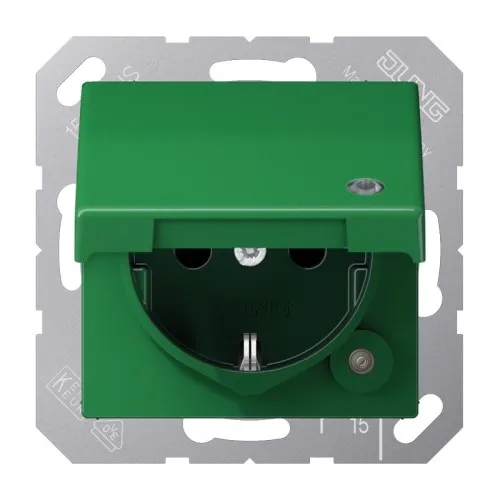 Prise SCHUKO Jung 16A 250V A 1520 BFKLKO GN