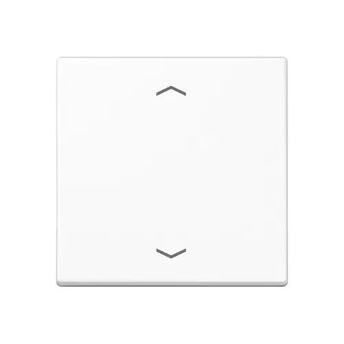 Jung Touche de commande standard A 1700 BFP WW